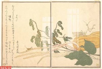 Tải file Tranh sơn dầu phương tây tổng hợp STS7072 (ảnh gốc) in gạch 3D