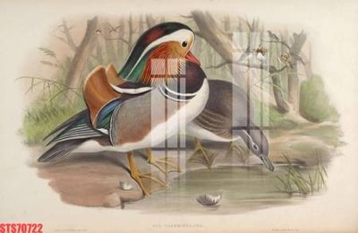 File tranh Tranh sơn dầu phương tây tổng hợp STS70722 (gốc) chủ đề tĩnh vật