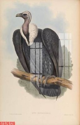 Download file gốc Tranh sơn dầu phương tây tổng hợp STS70726 (dùng cho in ấn)