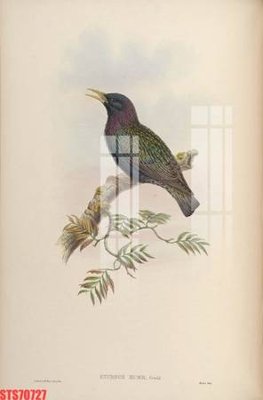 File gốc Tranh sơn dầu phương tây tổng hợp STS70727 (in lụa) họa tiết 3D