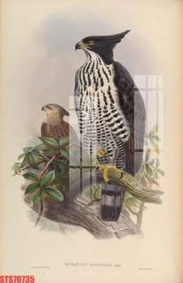 File tranh gốc Tranh sơn dầu phương tây tổng hợp STS70735 (bản quyền) độc đáo