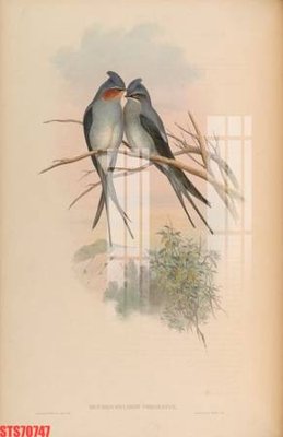 File ảnh Tranh sơn dầu phương tây tổng hợp STS70747 (gốc) in PP, decal