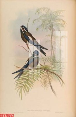 Tải file gốc Tranh sơn dầu phương tây tổng hợp STS70752 (in tráng gương) siêu đẹpFile tranh gốc Tranh sơn dầu phương tây tổng hợp STS70752 chất lượng cao