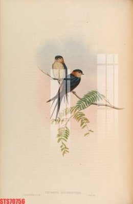 File tranh Tranh sơn dầu phương tây tổng hợp STS70756 (bản gốc) trang trí văn phòng