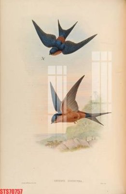 Tải file Tranh sơn dầu phương tây tổng hợp STS70757 (gốc) in tranh tráng gương