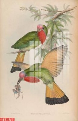 Download file ảnh gốc Tranh sơn dầu phương tây tổng hợp STS70766 để in ấn