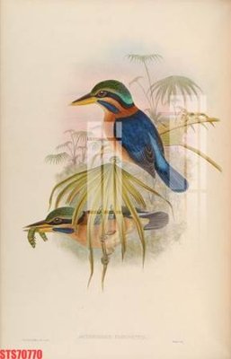 Download file gốc Tranh sơn dầu phương tây tổng hợp STS70770 (in lụa) hoa lá