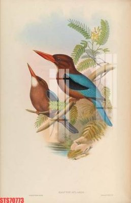 File in trần Tranh sơn dầu phương tây tổng hợp STS70773 (file gốc) phong thủy