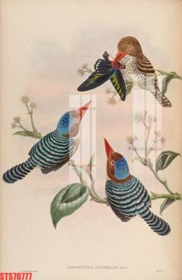 Download file Tranh sơn dầu phương tây tổng hợp STS70777 (gốc) in mica đèn LED