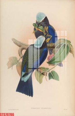 File gốc Tranh sơn dầu phương tây tổng hợp STS70786 (in lụa) tranh phong thủy