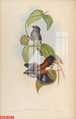 File in ấn Tranh sơn dầu phương tây tổng hợp STS70794 (bản gốc) sắc nét