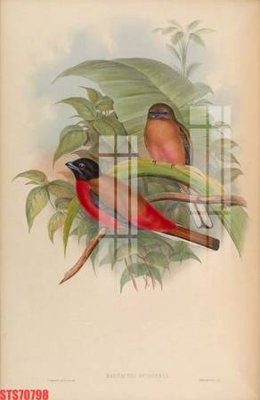 Hình ảnh gốc Tranh sơn dầu phương tây tổng hợp STS70798 (để in khổ lớn)