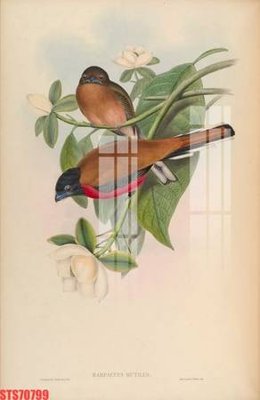 File in ấn chuyên nghiệp Tranh sơn dầu phương tây tổng hợp STS70799 (file gốc)