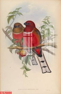 File tranh gốc Tranh sơn dầu phương tây tổng hợp STS70800 (bản quyền) file PSD