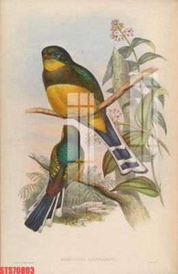 File gốc Tranh sơn dầu phương tây tổng hợp STS70803 (Filetranh.com) Tranh sơn dầu phương tây tổng hợp STS70803