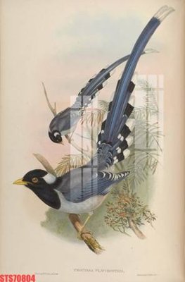 File tranh Tranh sơn dầu phương tây tổng hợp STS70804 (file gốc) chuẩn màu in