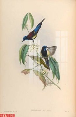 Tải file gốc Tranh sơn dầu phương tây tổng hợp STS70839 (in tráng gương) cao cấpFile gốc Tranh sơn dầu phương tây tổng hợp STS70839 (in ấn) phiên bản độc quyền