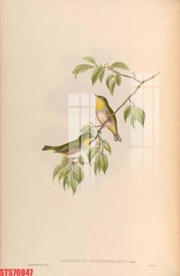 File gốc Tranh sơn dầu phương tây tổng hợp STS70847 (dành cho quảng cáo)