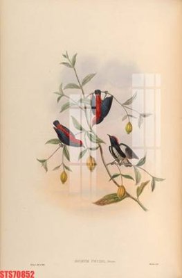 File gốc Tranh sơn dầu phương tây tổng hợp STS70852 (trang trí) phòng ngủ