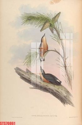 File gốc Tranh sơn dầu phương tây tổng hợp STS70861 (PSD/TIFF) độ phân giải cao