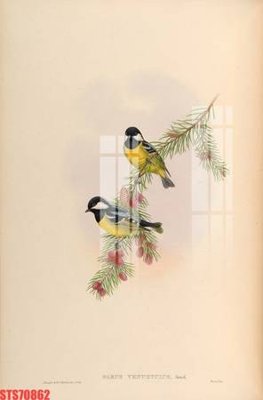 File gốc Tranh sơn dầu phương tây tổng hợp STS70862 (PNG) nền trong suốt