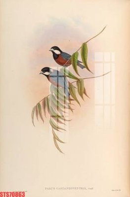 File in trần Tranh sơn dầu phương tây tổng hợp STS70863 (bản gốc) bầu trời