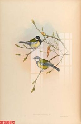 File gốc Tranh sơn dầu phương tây tổng hợp STS70872 (in mica) trang trí