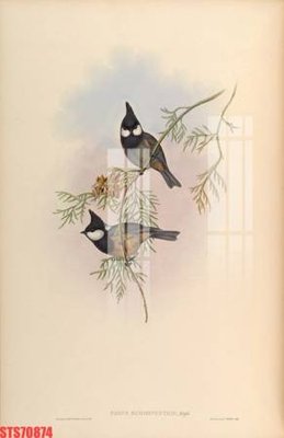 Mua file gốc Tranh sơn dầu phương tây tổng hợp STS70874 (in ấn) tại Filetranh.com