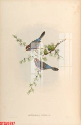 File gốc Tranh sơn dầu phương tây tổng hợp STS70877 (PNG) nền trong suốt