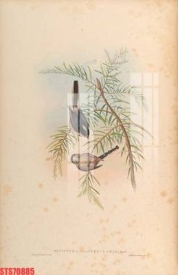 File gốc Tranh sơn dầu phương tây tổng hợp STS70885 (ảnh chi tiết) để in trần