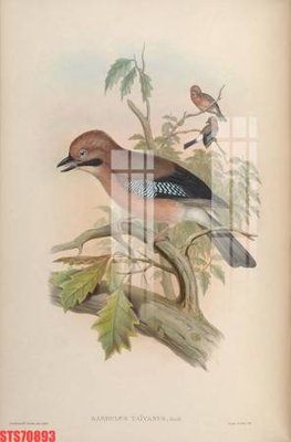 File ảnh Tranh sơn dầu phương tây tổng hợp STS70893 (gốc) in poster