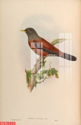 Tải file tranh Tranh sơn dầu phương tây tổng hợp STS70895 (gốc) tại Filetranh.com