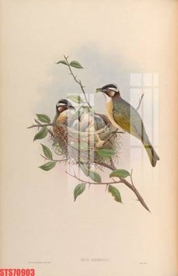 File tranh Tranh sơn dầu phương tây tổng hợp STS70903 (gốc) chủ đề trẻ em