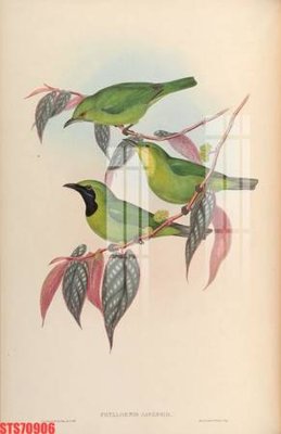 Tải file gốc Tranh sơn dầu phương tây tổng hợp STS70906 (in khổ lớn) quảng cáo