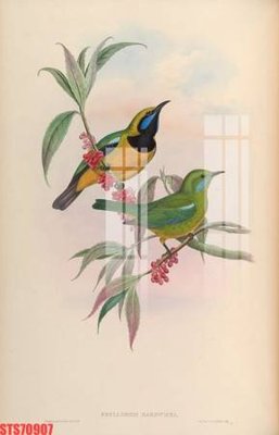 File ảnh gốc Tranh sơn dầu phương tây tổng hợp STS70907 (chuyên in mica)