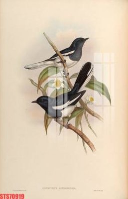 File tranh Tranh sơn dầu phương tây tổng hợp STS70919 (bản gốc) in lụa 5D