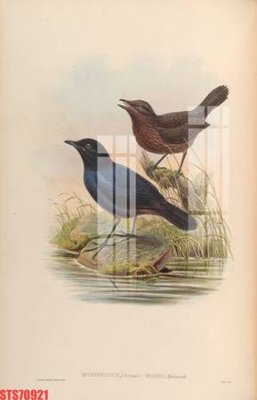 Tải file Tranh sơn dầu phương tây tổng hợp STS70921 (ảnh gốc) in gạch 3D