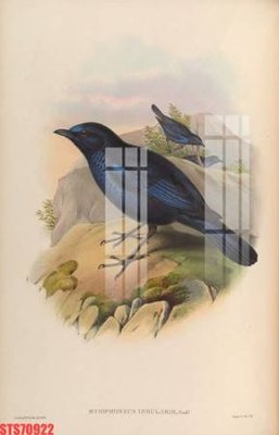 File PSD Tranh sơn dầu phương tây tổng hợp STS70922 (nguyên bản) cho thiết kế