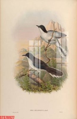 Download file gốc Tranh sơn dầu phương tây tổng hợp STS70927 (dùng cho in ấn)