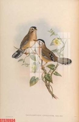 File gốc Tranh sơn dầu phương tây tổng hợp STS70934 (ảnh rõ nét) để in