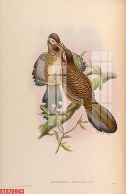 Download file gốc Tranh sơn dầu phương tây tổng hợp STS70943 (in mica) trang trí