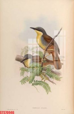 File tranh Tranh sơn dầu phương tây tổng hợp STS70946 (gốc) chủ đề trẻ em