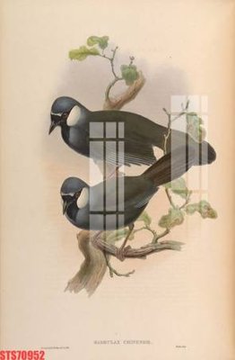 File gốc Tranh sơn dầu phương tây tổng hợp STS70952 (Filetranh.com) Tranh sơn dầu phương tây tổng hợp STS70952