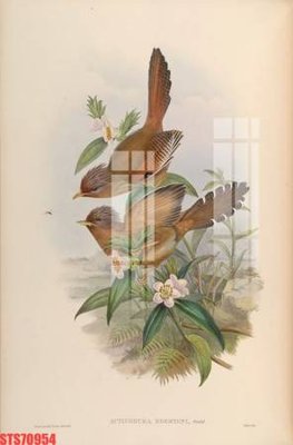 Mua file gốc Tranh sơn dầu phương tây tổng hợp STS70954 (in ấn) tại Filetranh.com