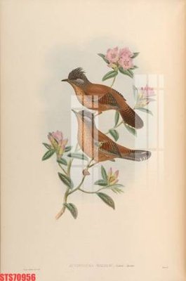 Download file gốc Tranh sơn dầu phương tây tổng hợp STS70956 (in mica) trang trí