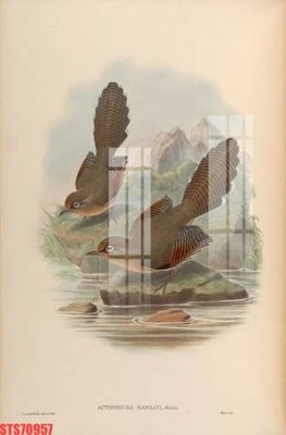 Download file Tranh sơn dầu phương tây tổng hợp STS70957 (gốc) in mica cao cấp