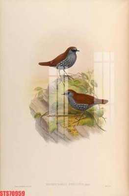 File tranh Tranh sơn dầu phương tây tổng hợp STS70959 (ảnh gốc) cho in ấn kỹ thuật số