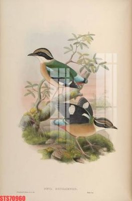 File tranh Tranh sơn dầu phương tây tổng hợp STS70960 (gốc) in vải canvas