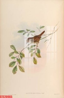 File gốc Tranh sơn dầu phương tây tổng hợp STS70965 (cho in 3D) độc đáo