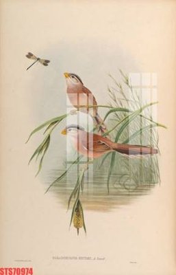 Tải file Tranh sơn dầu phương tây tổng hợp STS70974 (gốc) chủ đề tâm linh